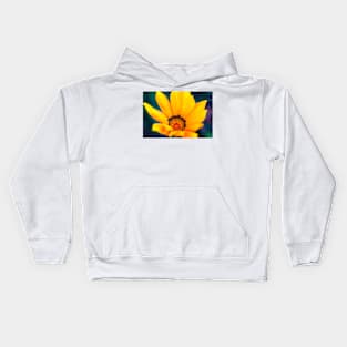 Close-up of a gazania flower Kids Hoodie